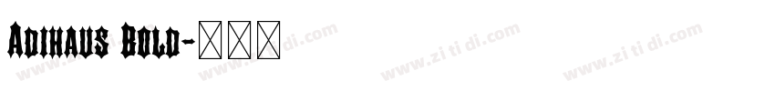 Adihaus Bold字体转换 Adihaus Bold字体转换